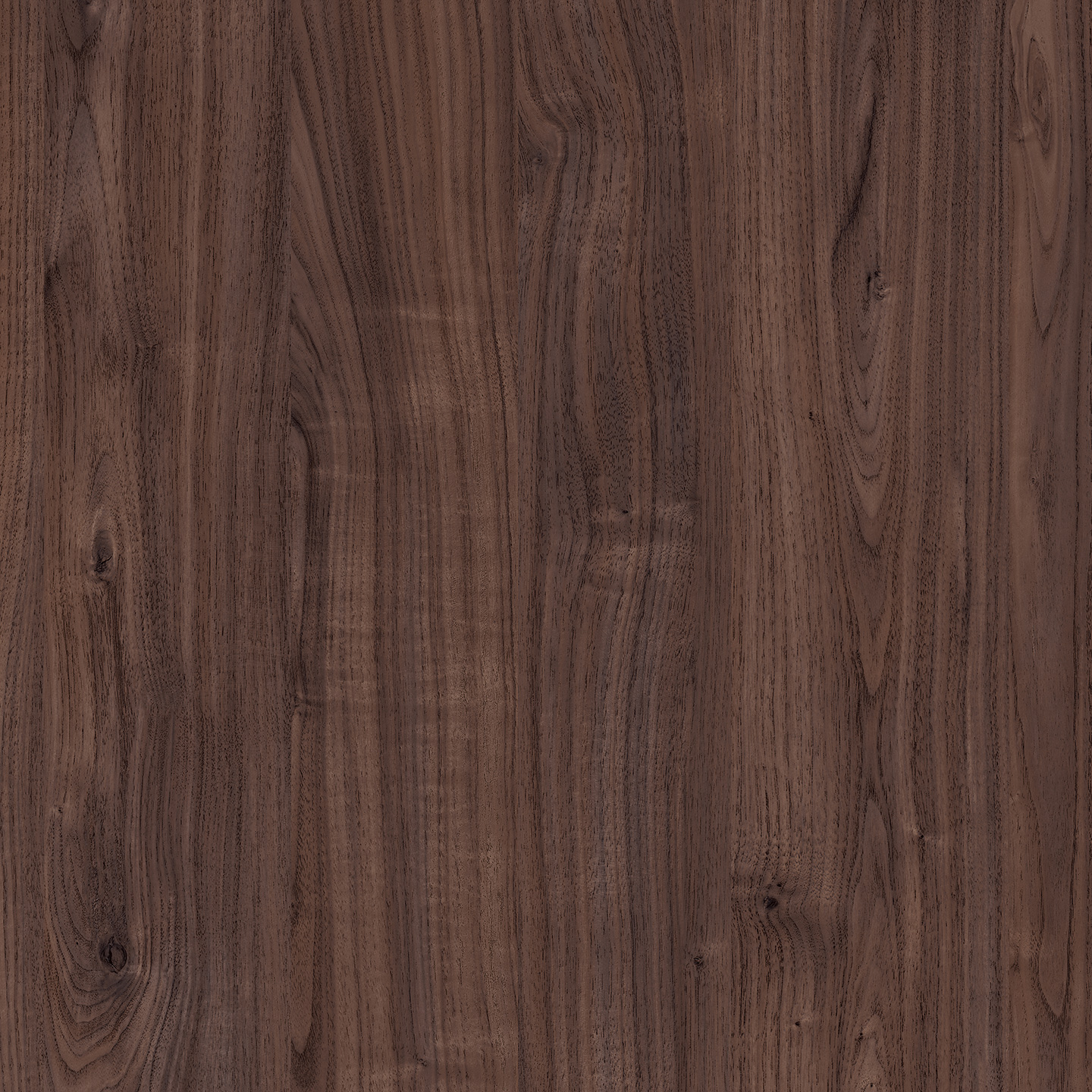 Noce Savinelli 4006-60