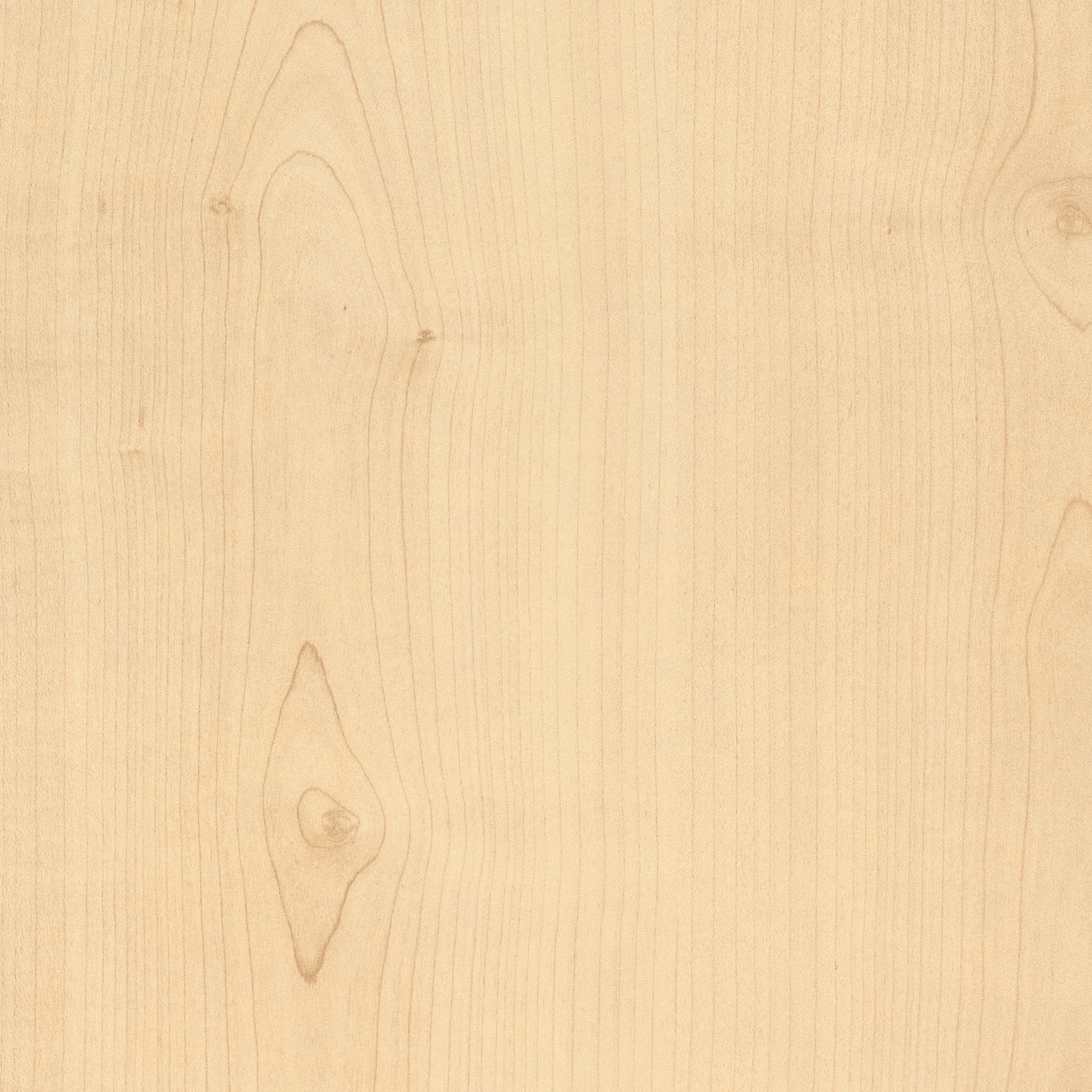 Ottawa Maple 4209-60