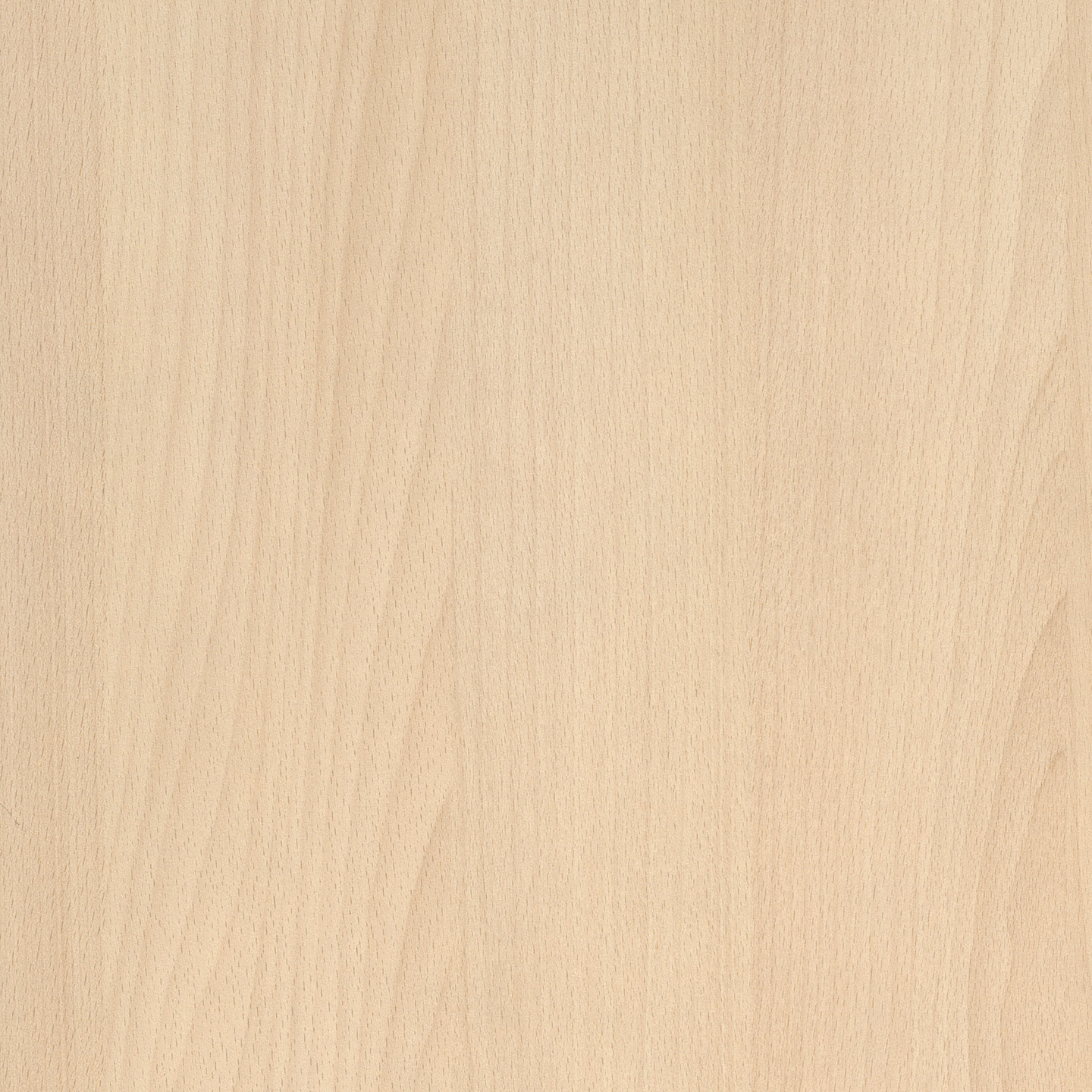 Platin Beech 4301-60