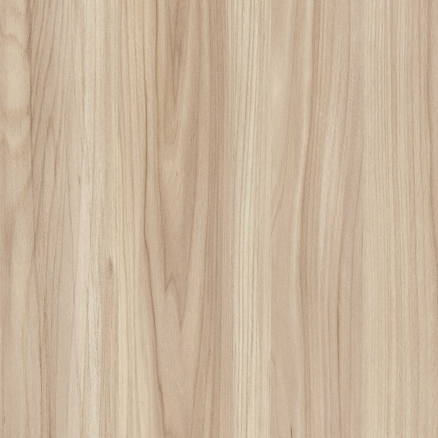 Ventura Elm 4303-VE