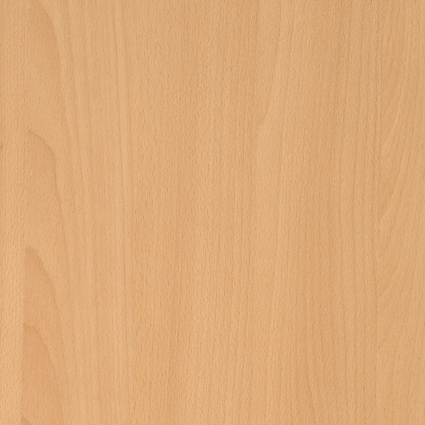 Global Beech 4306-60