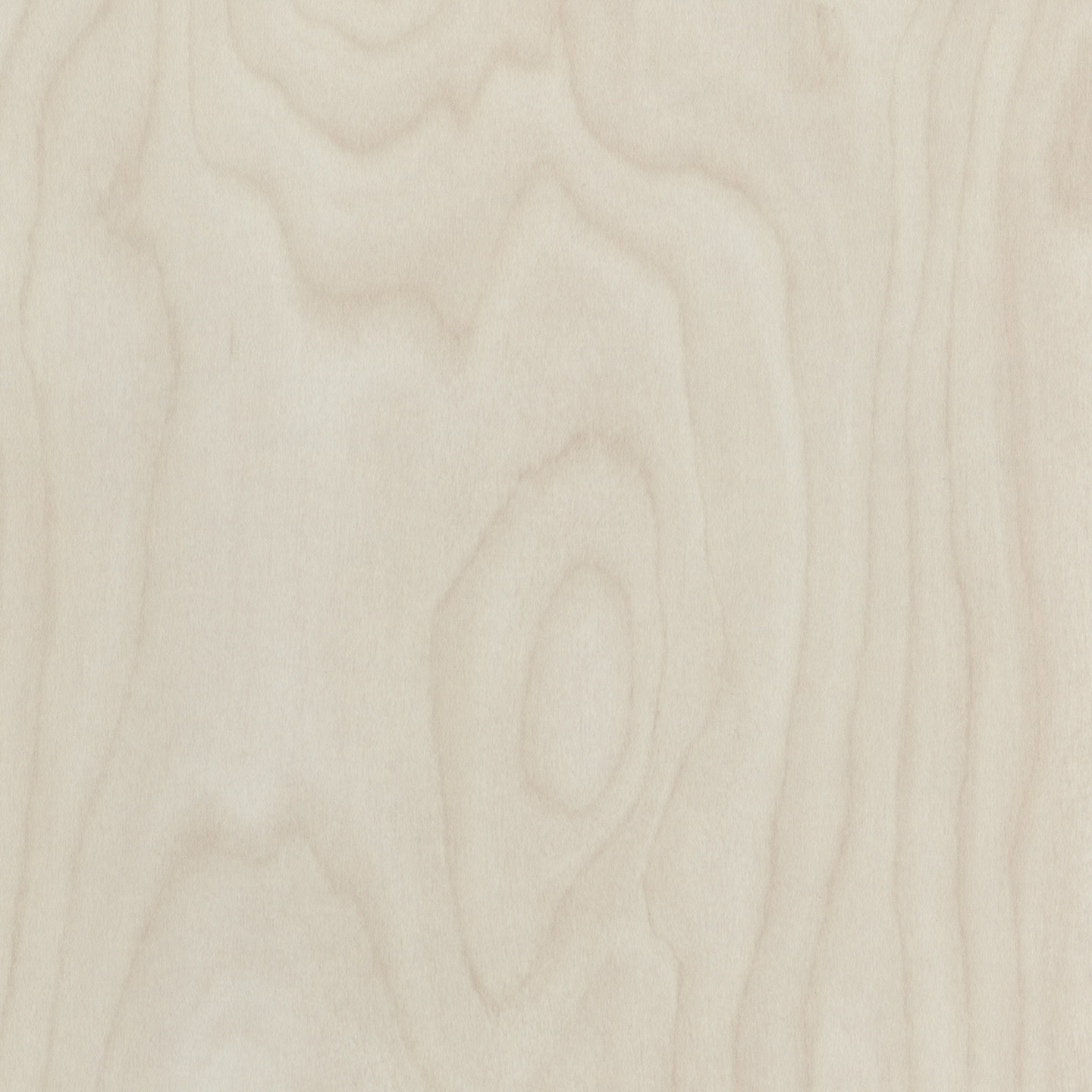 Stevenson Birch 4503-60