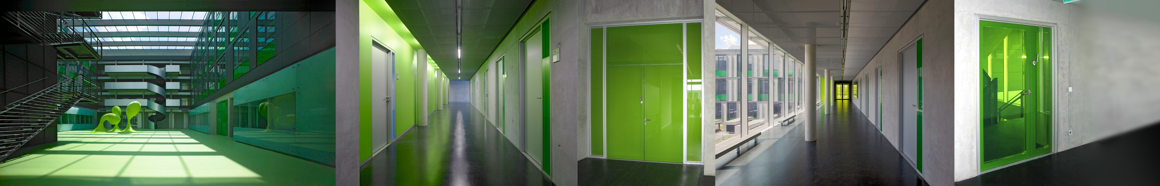 Verglasungen und Glasverbundtüren