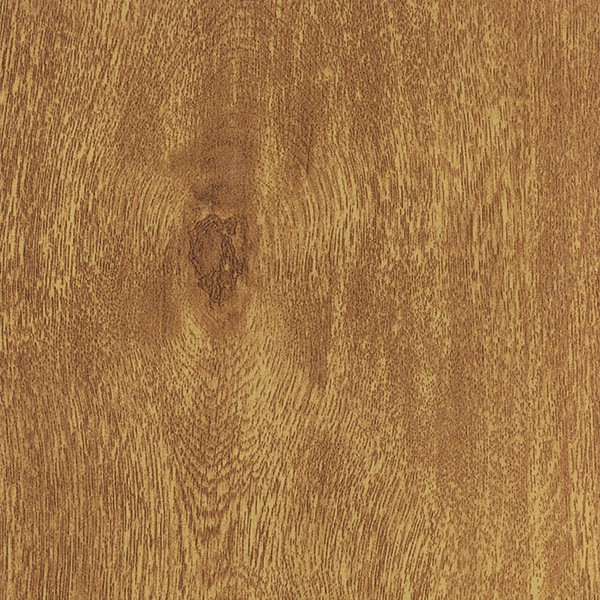 Goldeiche, hell, 805