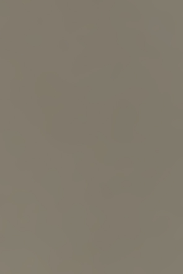 Aluminium eloxiert, Neusilber