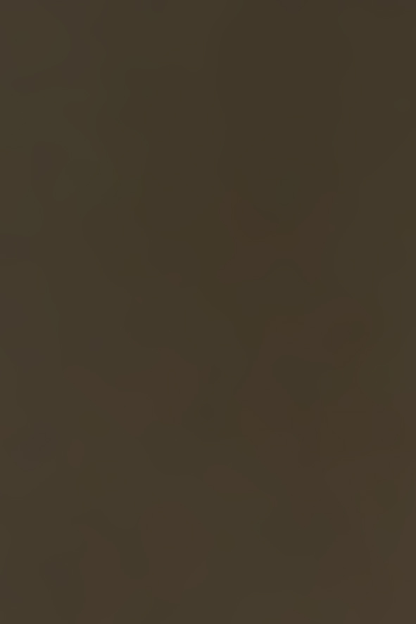 Aluminium eloxiert, Hellbronce