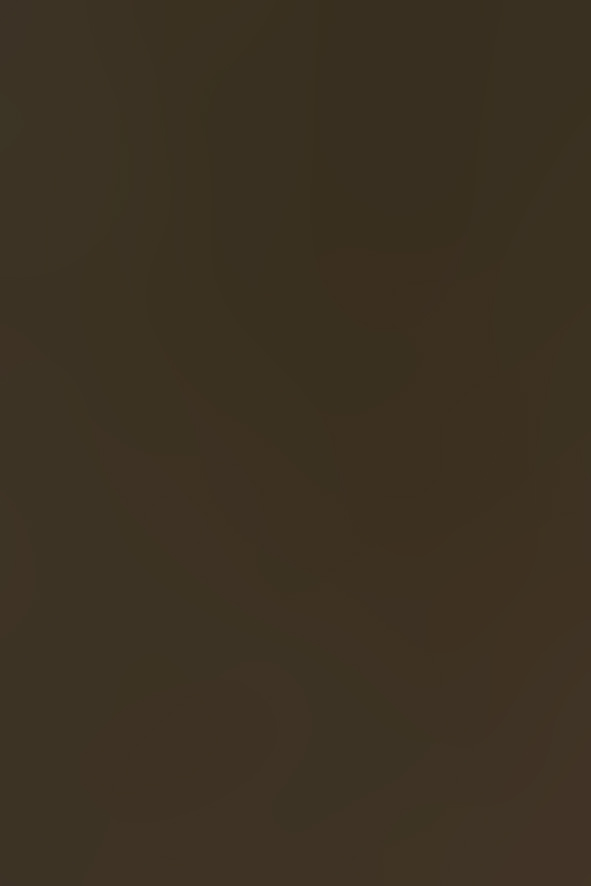 Aluminium eloxiert, Mittelbronce