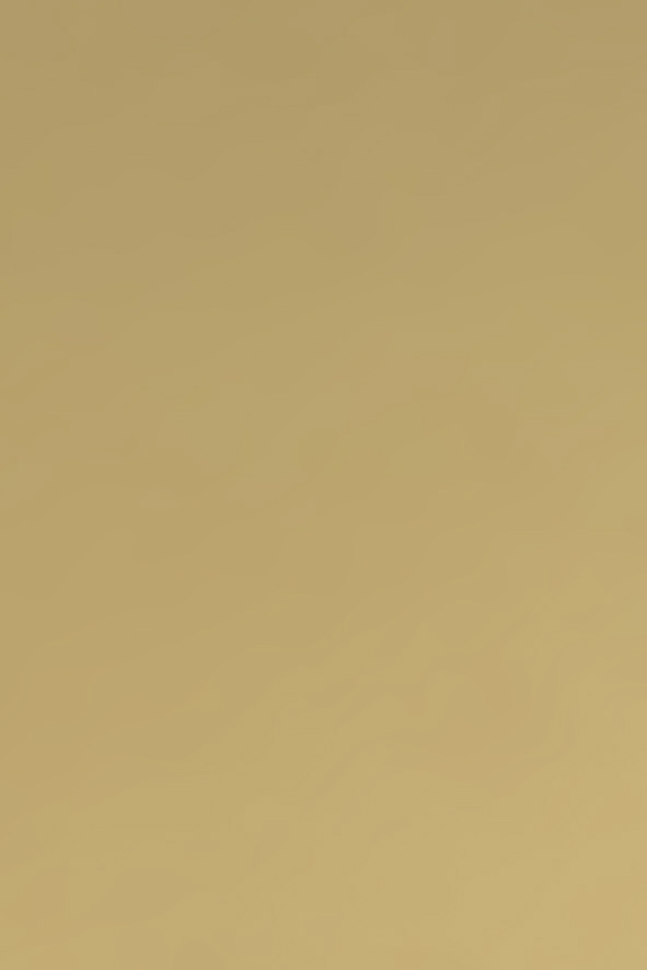 Aluminium eloxiert, Hellgold